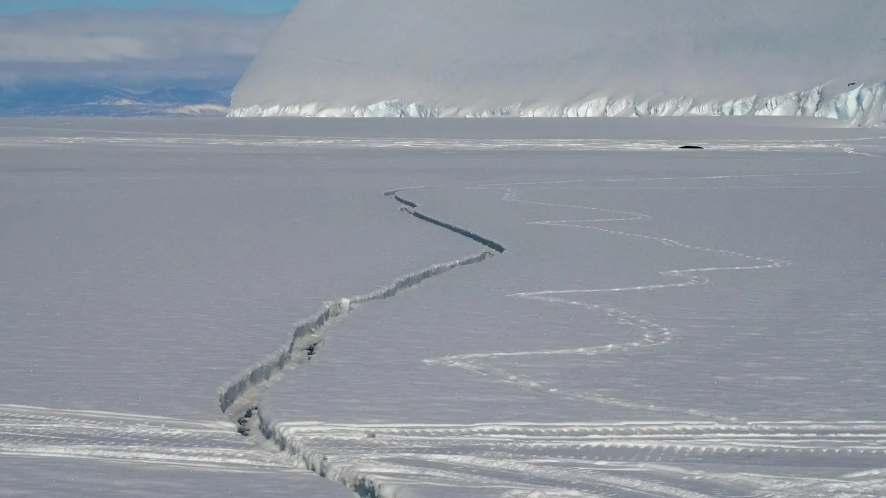 Sea Ice Crack